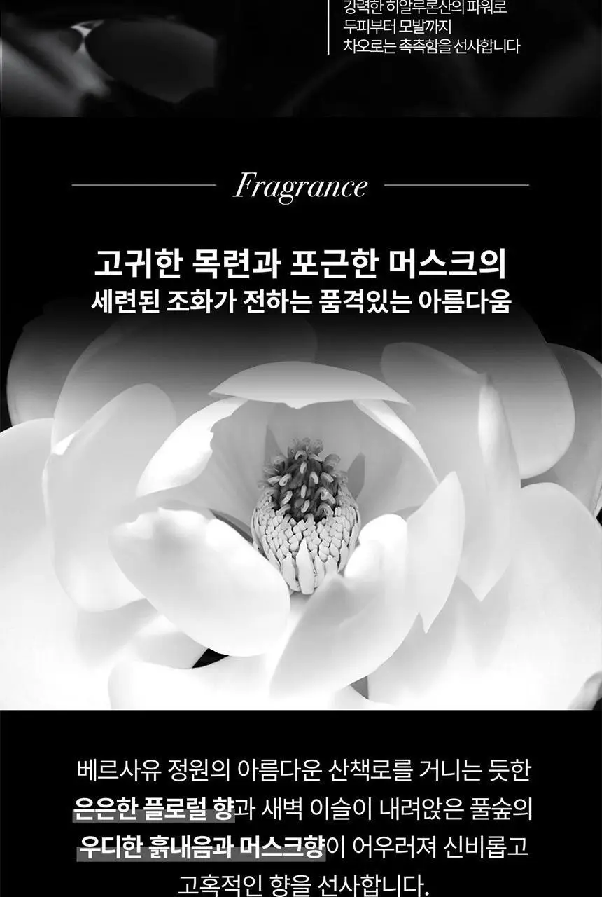 [리바이탈라이징] 케라스타즈 크로놀로지스트 마스크 200ml 상세페이지 5